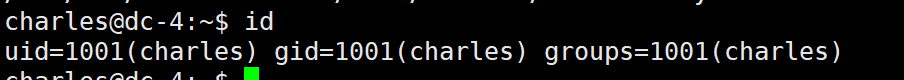 image-20221216132430952